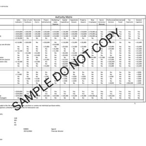 20010 Authority matrix form